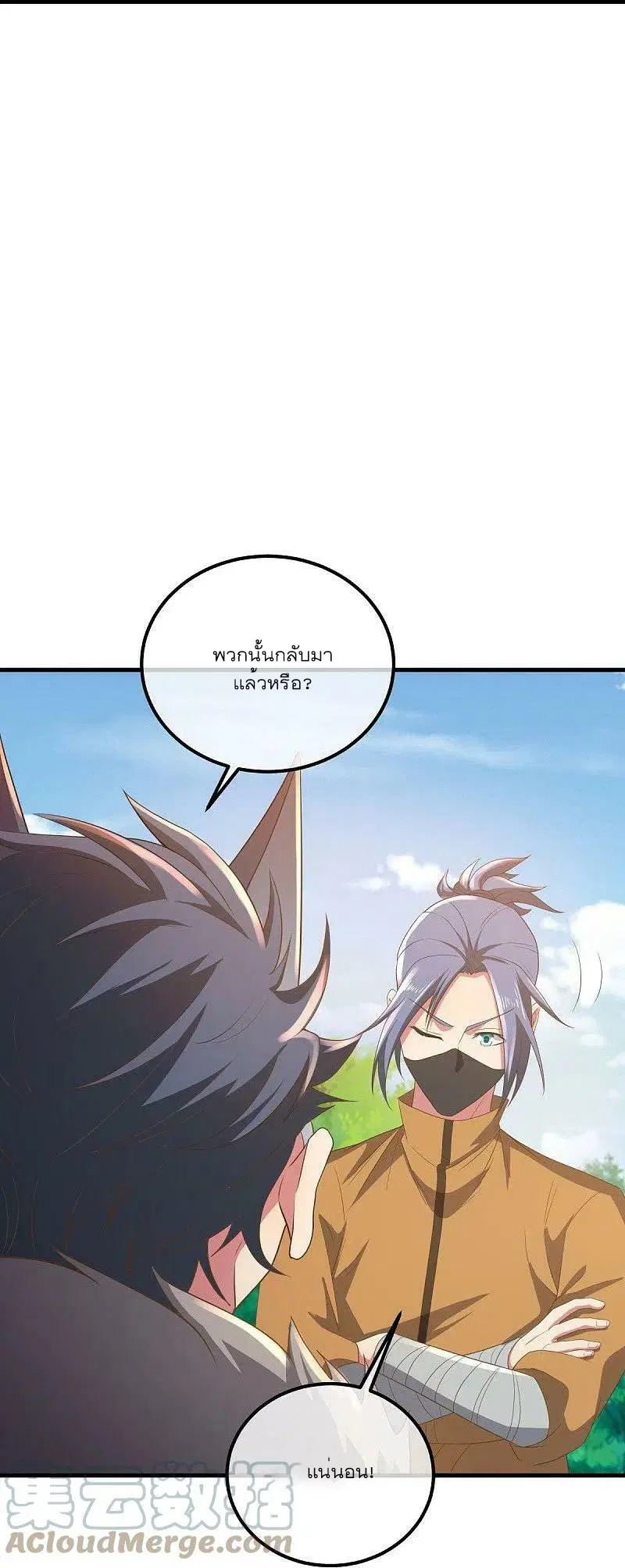 Peerless Battle Spirit ตอนที่ 508 หน้า 19