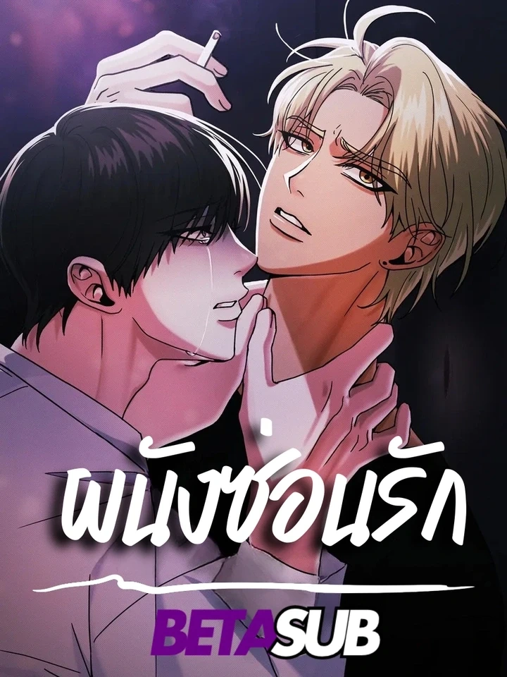 Love Behind the Wall – ผนังซ่อนรัก