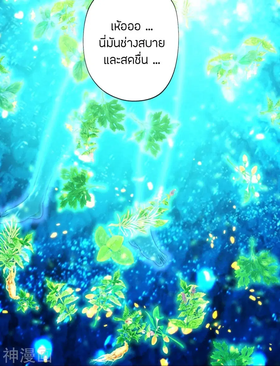 Banished Disciple’s Counterattack ราชาอมตะผู้ถูกขับไล่ ตอนที่ 209 หน้า 14