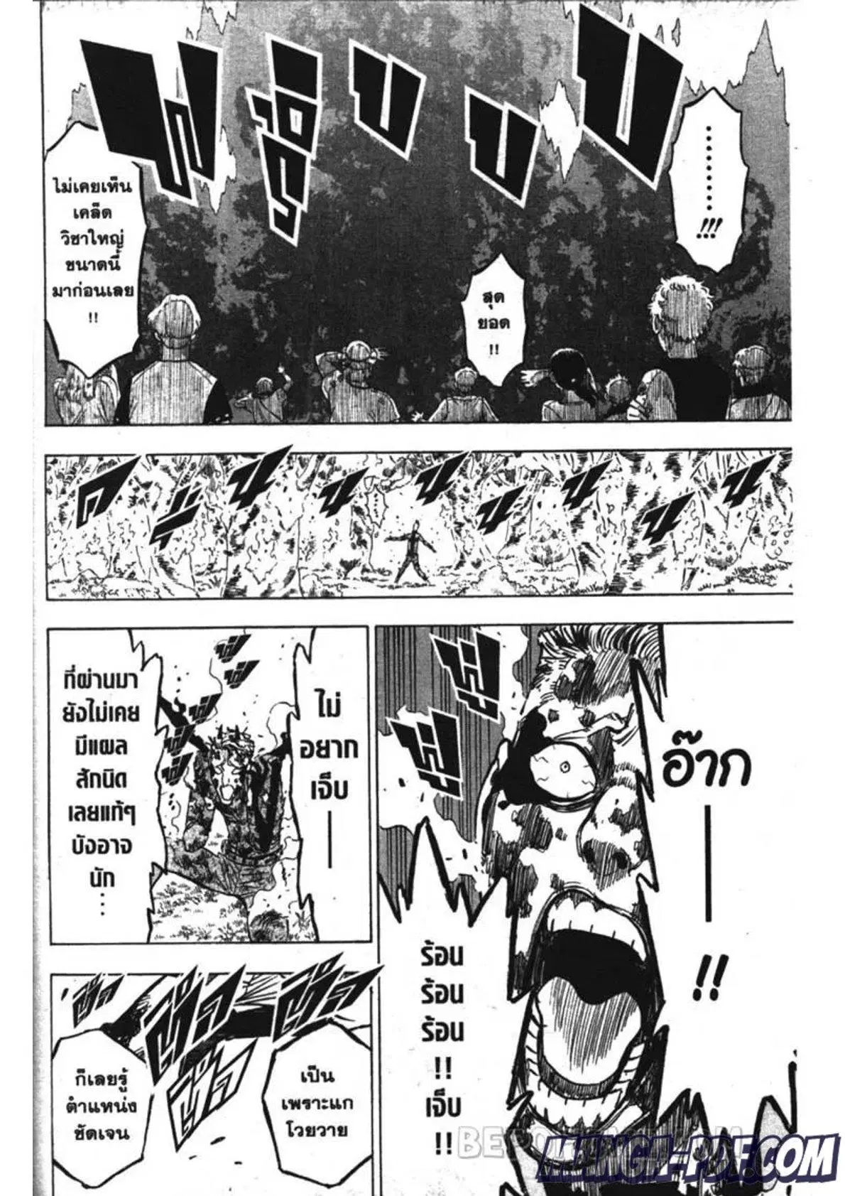 Black Clover ตอนที่ 249 หน้า 14