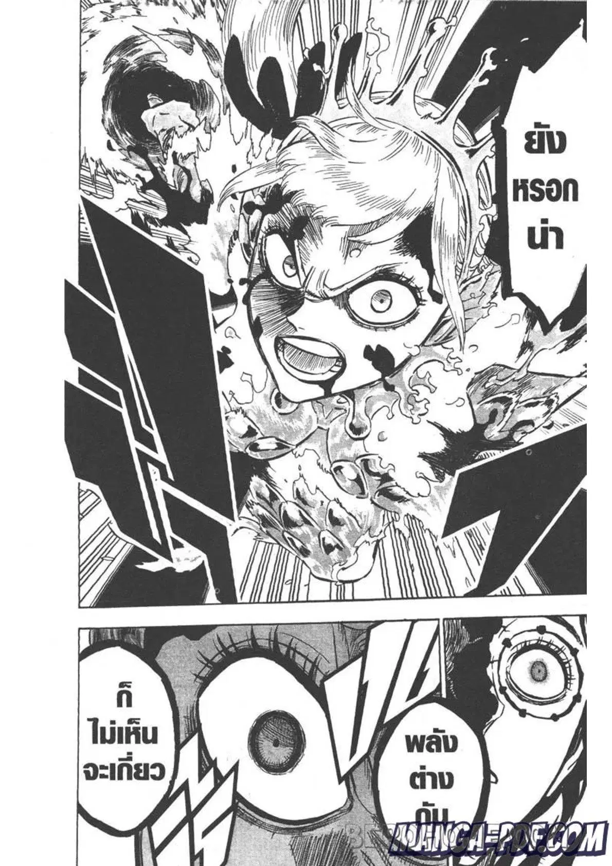 Black Clover ตอนที่ 254 หน้า 14