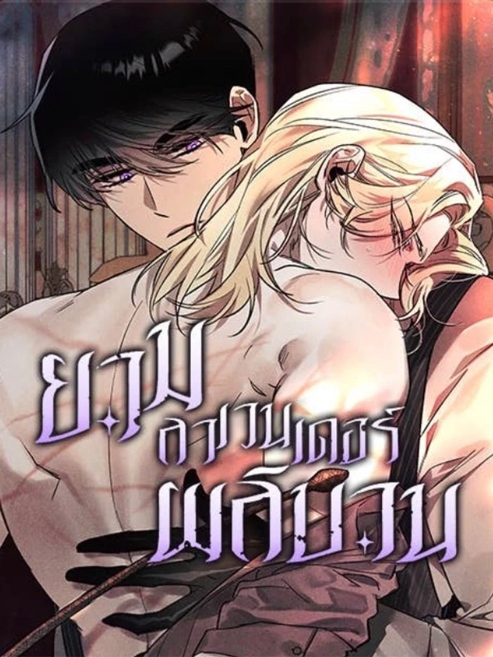 Lavender’s Bloom – ยามลาเวนเดอร์ผลิบาน