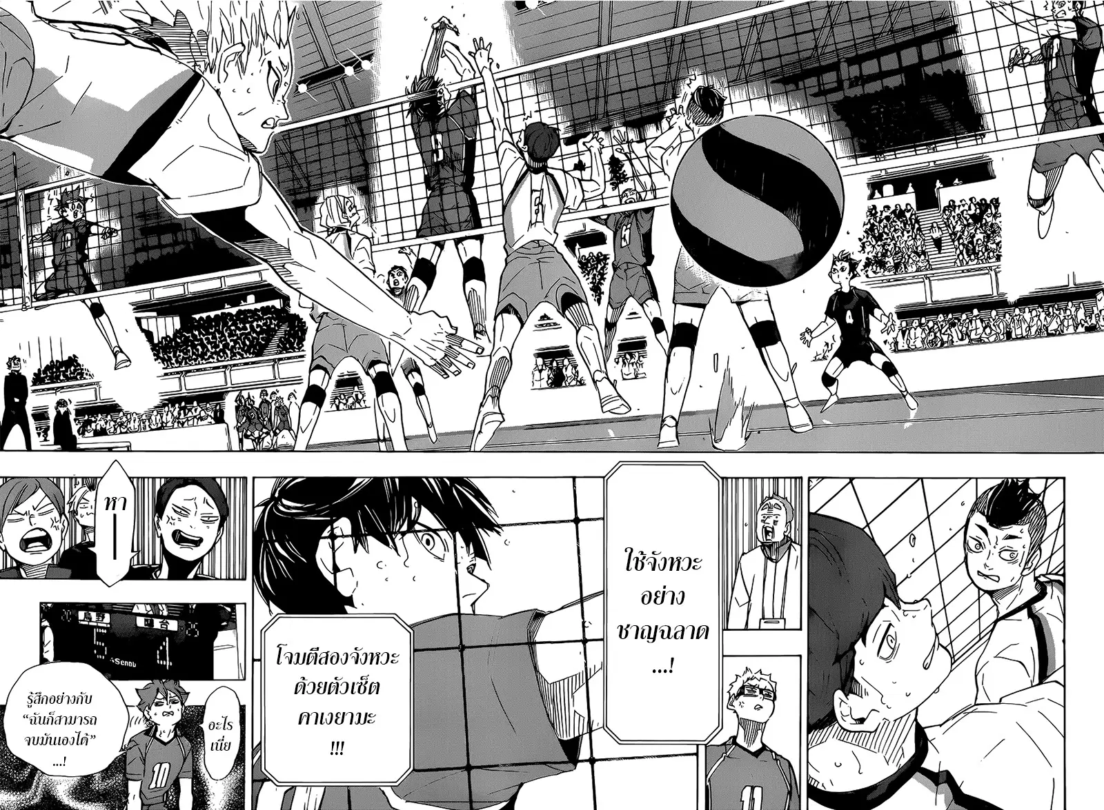 Haikyuu!! ตอนที่ 347 หน้า 15